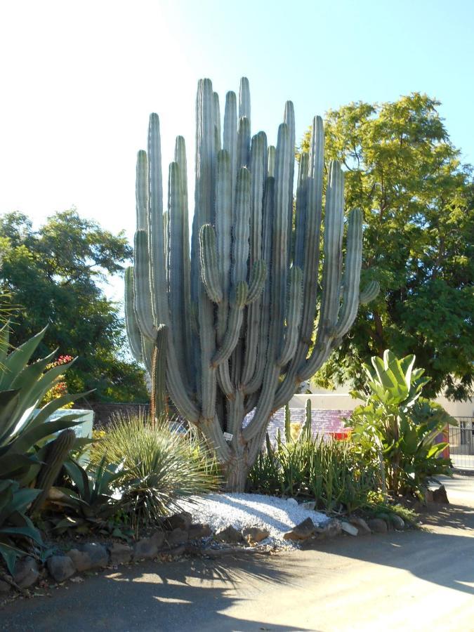 Obesa Lodge Graaff Reinet Luaran gambar